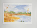 Landscape #65